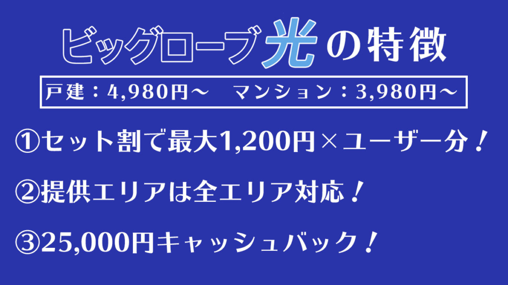 ビッグローブ光の特徴